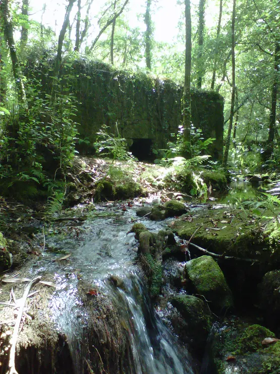 Molino de agua abandonado. / Mundiario