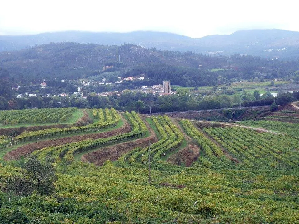 Pazo San Mauro.