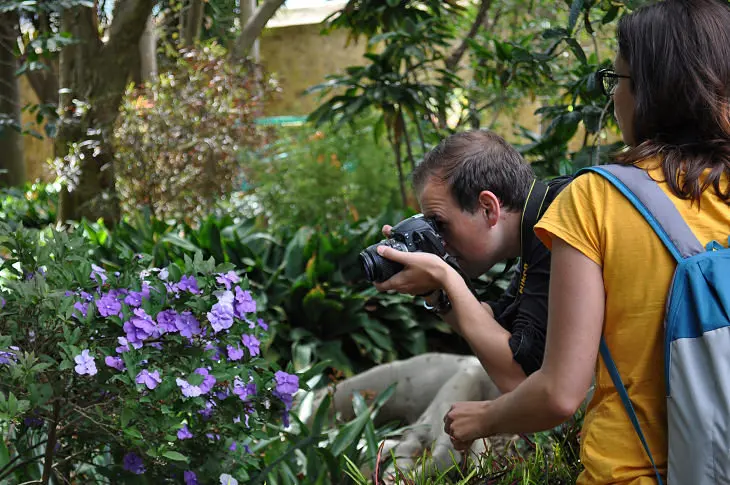 Fot&oacute;grafo en acci&oacute;n - Jard&iacute;n de Aclimataci&oacute;n de La Orotava, Puerto de la Cruz, Tenerife. / Francisco Pu&ntilde;al Su&aacute;rez