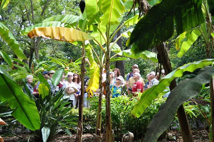 P&uacute;blico - Jardin de Aclimataci&oacute;n de La Orotava, Puerto de la Cruz, Tenerife. /Francisco Pu&ntilde;al