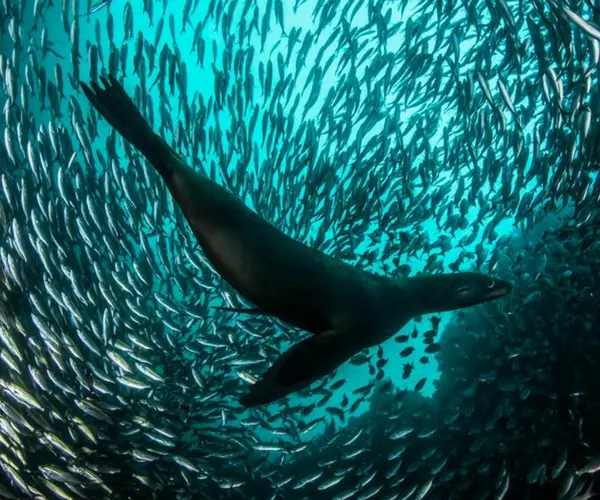 Islas Gal&aacute;pagos, Ecuador de Ecuador. National Geographic.