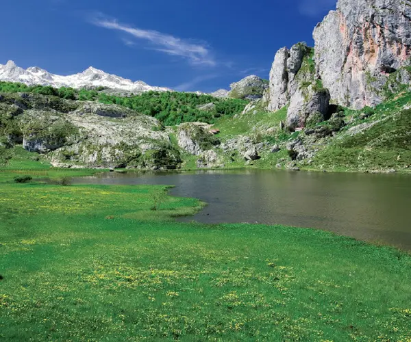 Picos de Europa. Asturias, Cantabria y Castilla y Le&oacute;n. National Geographic.