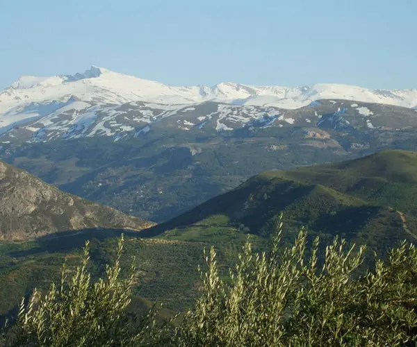 Sierra Nevada, Andaluc&iacute;a. Thomas Then.