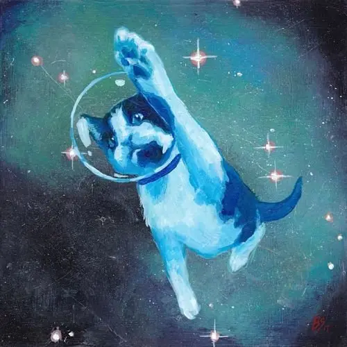 Gato azul en espacio Bronwyn Schuster