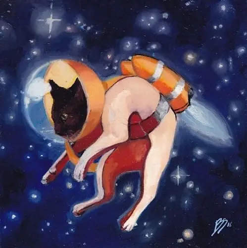 Gato baige en el espacio Bronwyn Schuster