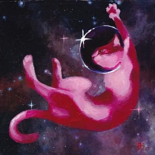 Otro gato rosa en el espacio Bronwyn Schuster