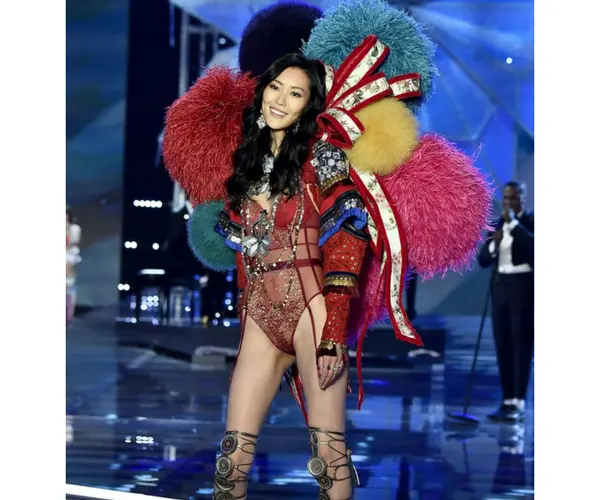 Victoria's Secret Fashion Show 2017. Elle (4)