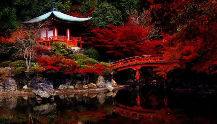 Kioto, Jap&oacute;n. Pinterest