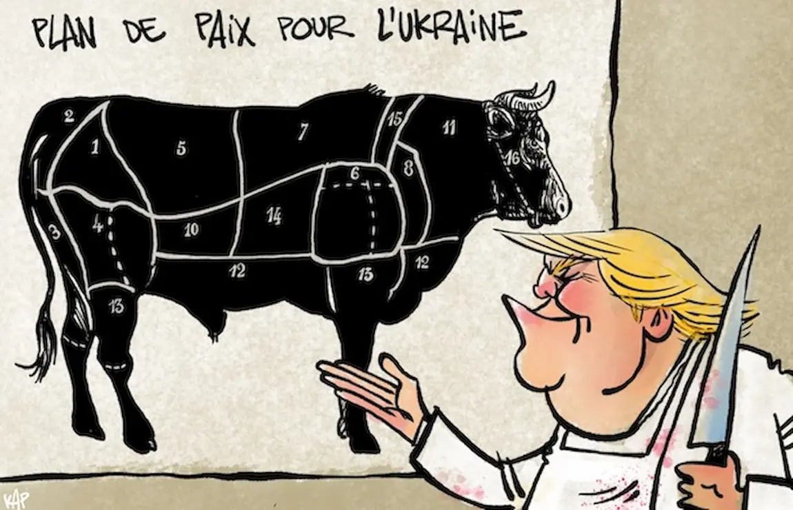 Trump /Kap, Espa&ntilde;a