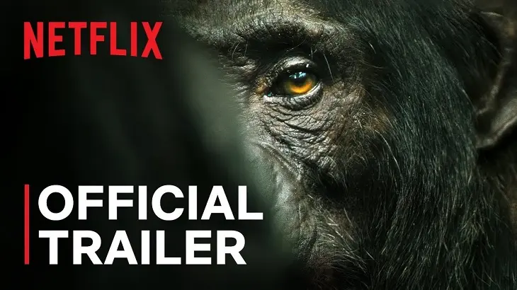 El imperio de los Chimpanc&eacute;s, documental de Netflix