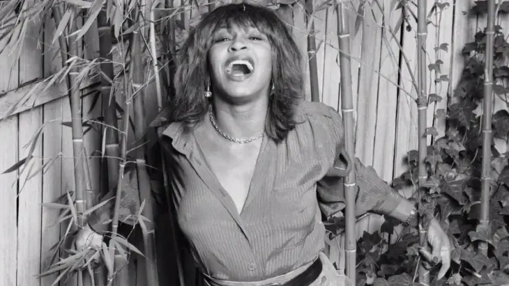 Tina Turner / IMDB