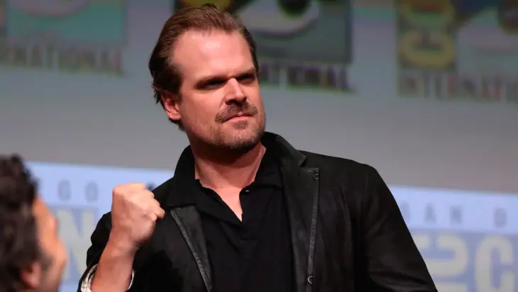 David Harbour. / IMDb