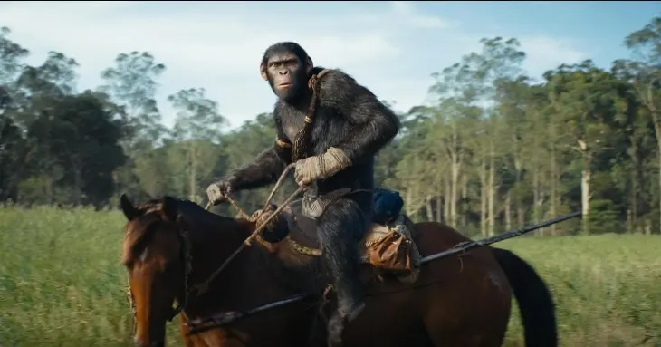El reino del planeta de los simios, pel&iacute;cula. / IMDb