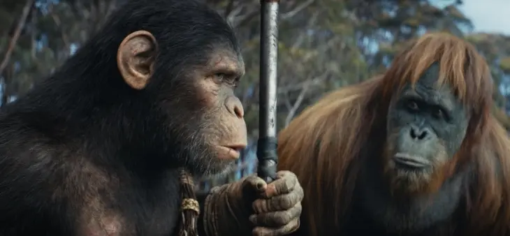 El reino del planeta de los simios, pel&iacute;cula. / IMDb