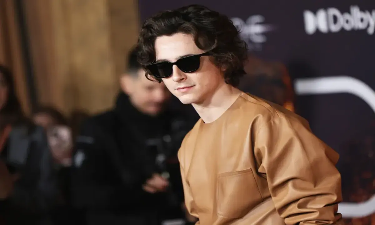 Timothee Chalamet. / RRSS