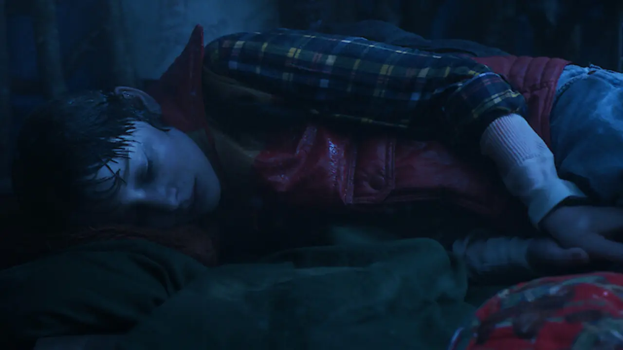 Will, Stranger Things 5. / Netflix