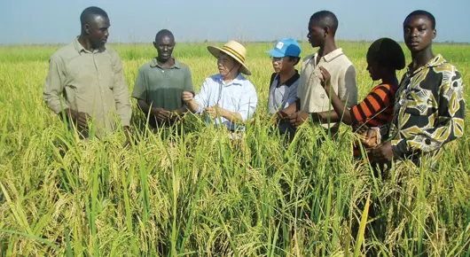 Resurge el problema de los precios agr&iacute;colas / FAO.