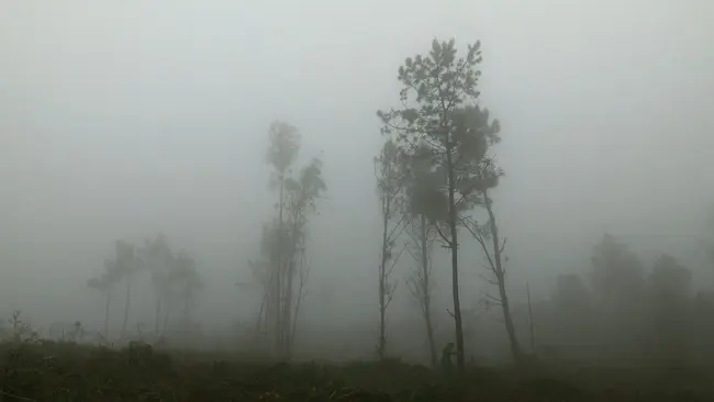 Fotograma de la pel&iacute;cula Costa da Morte.