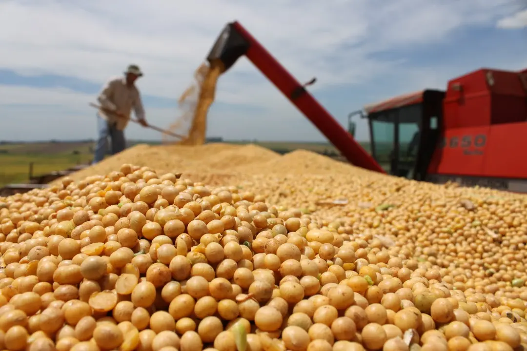 Argentina, un pa&iacute;s con una gran producci&oacute;n agropecuaria.