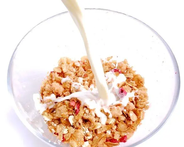 La vitamina B1 o tiamina, conocida como la vitamina del &aacute;nimo, est&aacute; presente en los cereales integrales y los l&aacute;cteos.