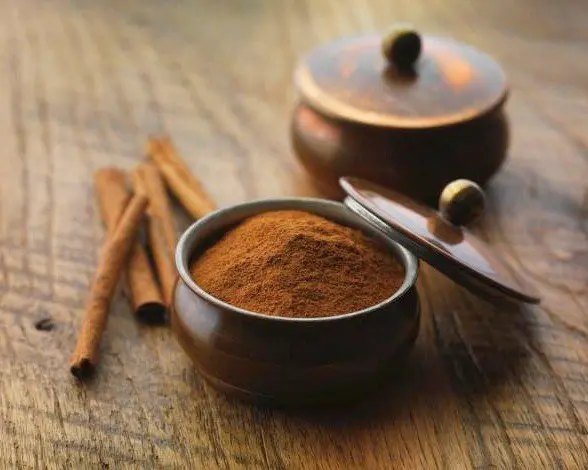 La canela es la especia m&aacute;s popular entre los alimentos afrodis&iacute;acos. Su fama se debe sobre todo a uso tradicional con este fin y a su embriagador aroma.