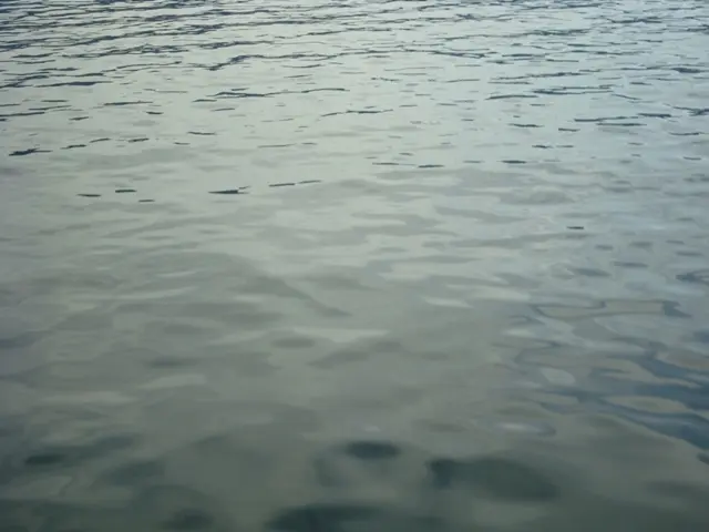 Naufragio de una esperanza.