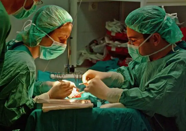 Entra en vigor la Directiva Europea de asistencia sanitaria transfronteriza