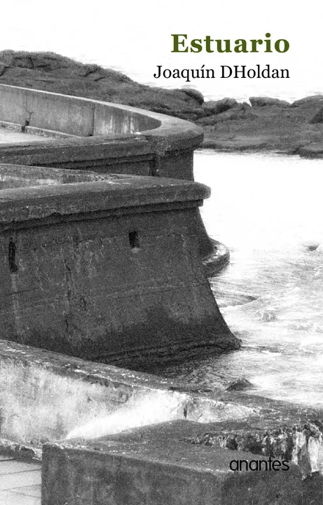 Estuario, de Joaqu&iacute;n DHoldan
