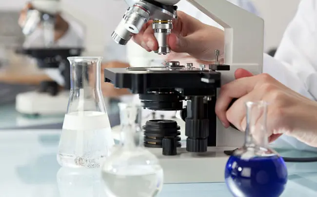 La industria farmac&eacute;utica es un sector estrat&eacute;gico.