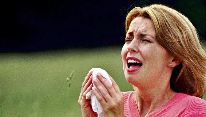 Alergia al polen.