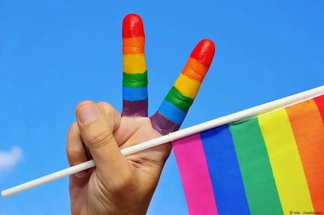 Bandera de los homosexuales. / RR SS.