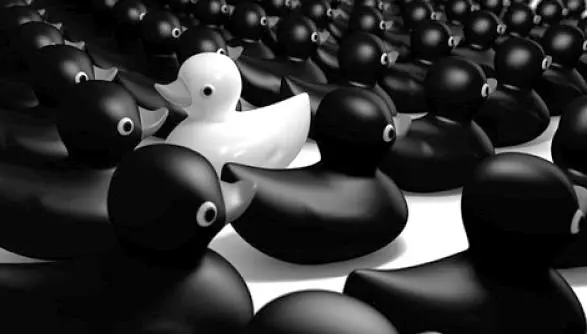 Patos.