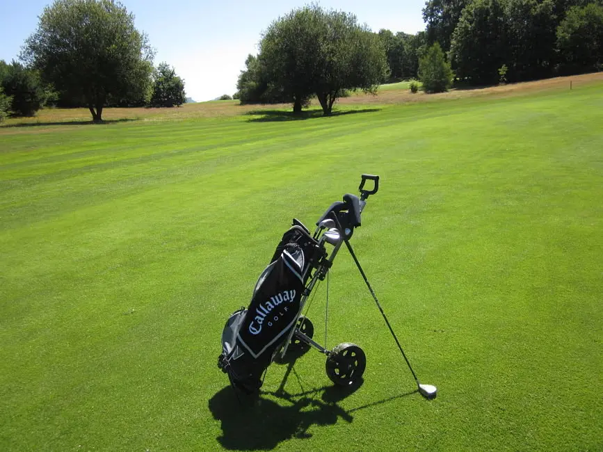 Golf de Lagr&aacute;n (casta&ntilde;os de 500 a&ntilde;os).