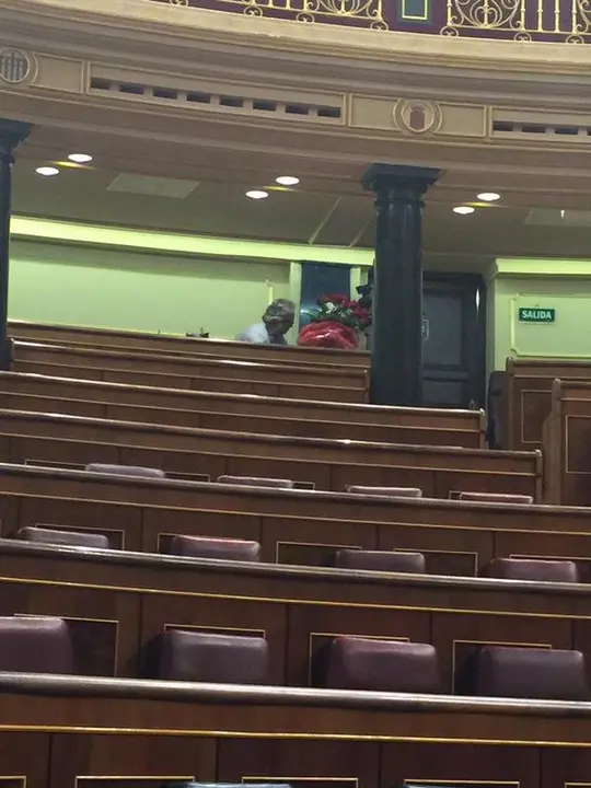 Ramo de rosas en el esca&ntilde;o de Txiqui Benegas en el Congreso. / Mundiario