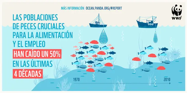 Situaci&oacute;n de las pesqueras. / WWF
