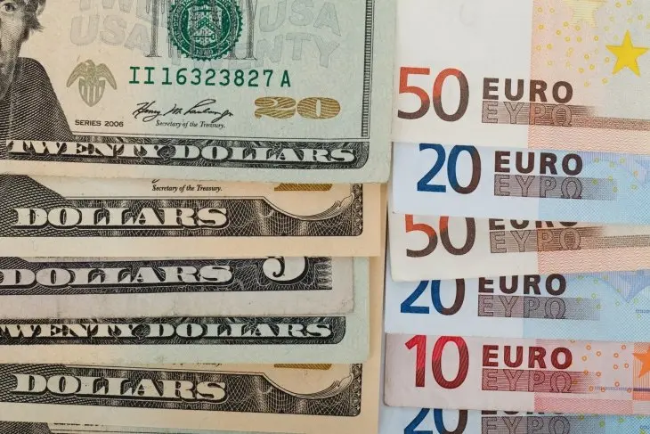 D&oacute;lares y euros en billetes. /