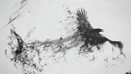 Corvo