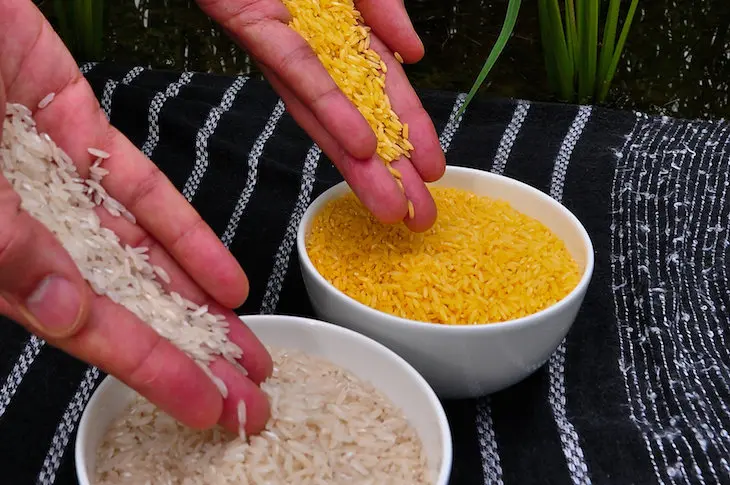 Arroz dorado. / RRSS.