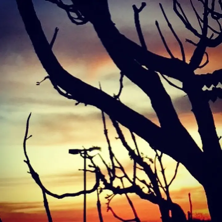 Atardecer.