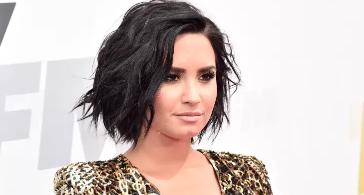 Demi Lovato. / Facebook