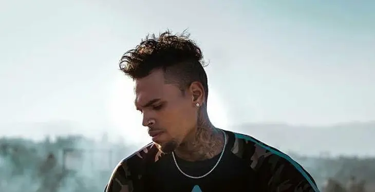 Chris Brown. / Facebook
