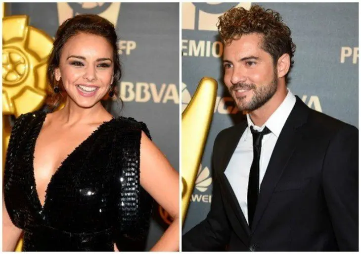 David Bisbal y Chenoa. / Zeleb