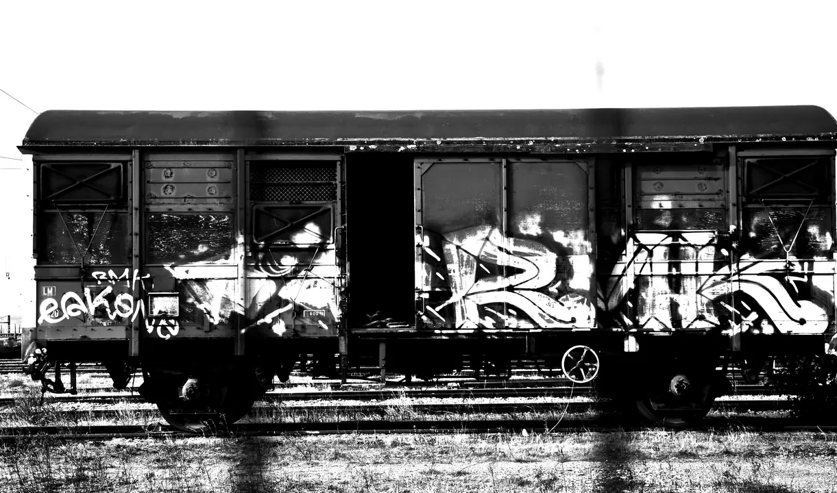 El tren sin retorno / Maribel Zamudio
