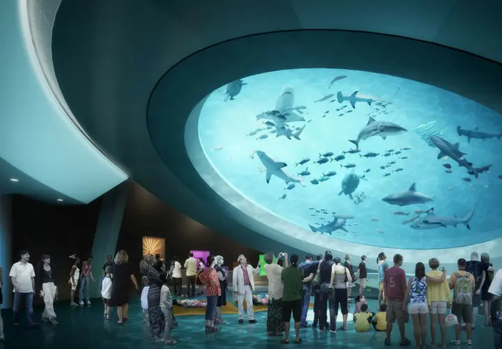 Museo de Ciencias Phillip y Patricia Frost. The New York Times.