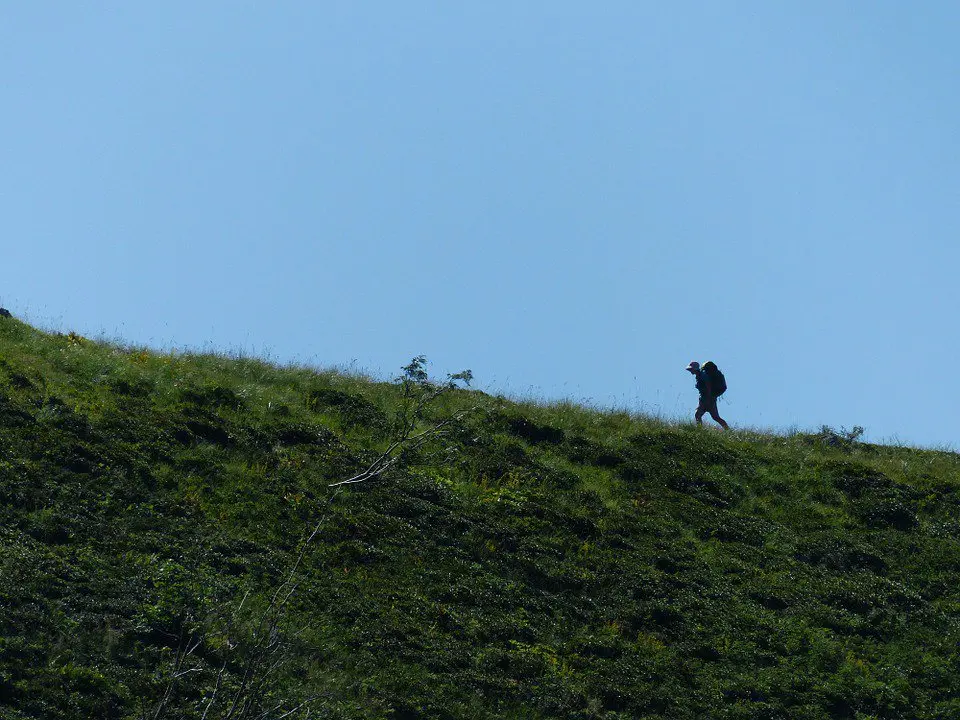Camino de Santiago. / Twitter