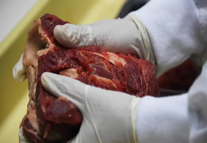 Trozo de carne/ Archivo