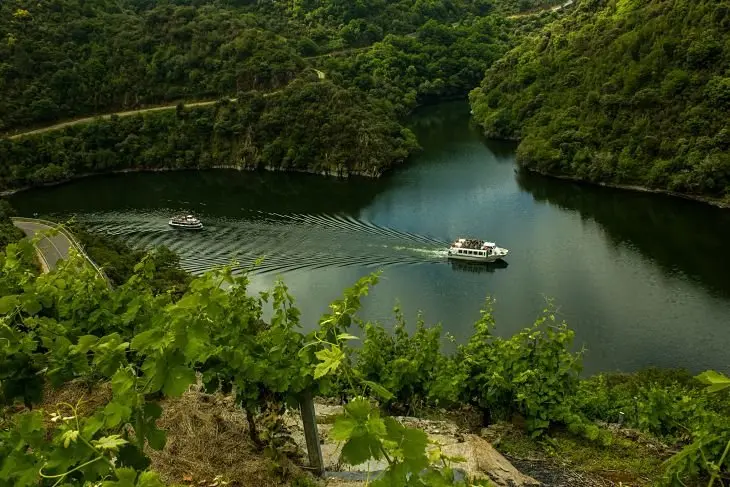 Vi&ntilde;edos de la Ribeira Sacra, zona que promociona el enoturismo. / Mundiario