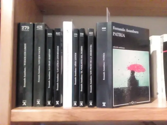 Patria, de Fernando Aramburu. / Gestionteca