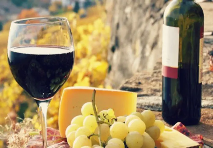 Vino. omammamia.com