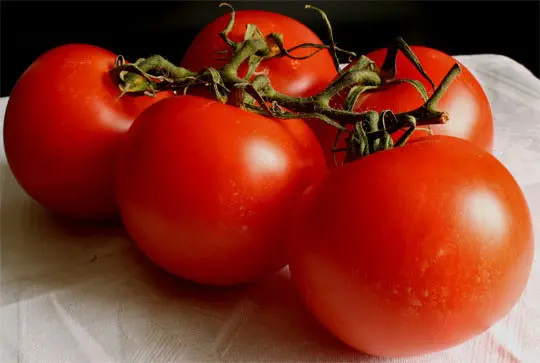 Tomate. / Hedwig Storch